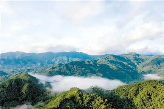 【展商風(fēng)采】水中鉆石·圖靈水寶成為第九屆綠博會論壇指定用水