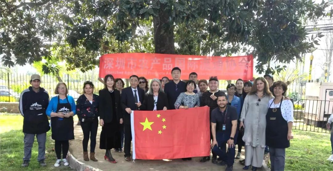 【協(xié)會(huì)動(dòng)態(tài)】深圳市農(nóng)產(chǎn)品國(guó)際流通協(xié)會(huì)副會(huì)長(zhǎng)張宇帶隊(duì)赴南美智利考察交流