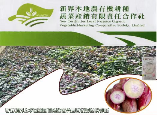 【每周優(yōu)品】香港本地紅薯——好吃不貴，營養(yǎng)豐富！